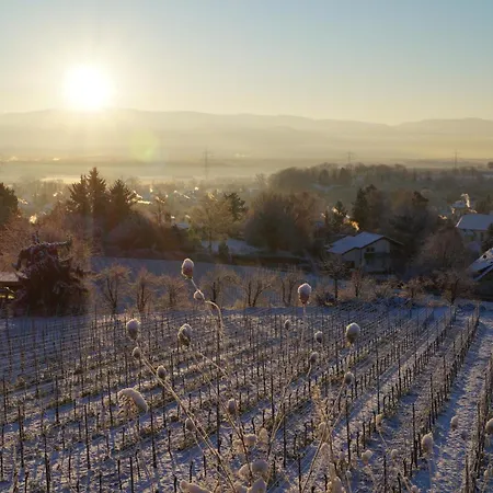 Séjour chez l'habitant Weingut Landmann *