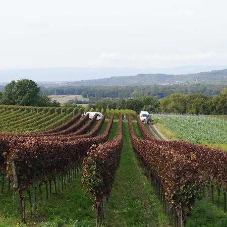 Weingut Landmann Séjour chez l'habitant *